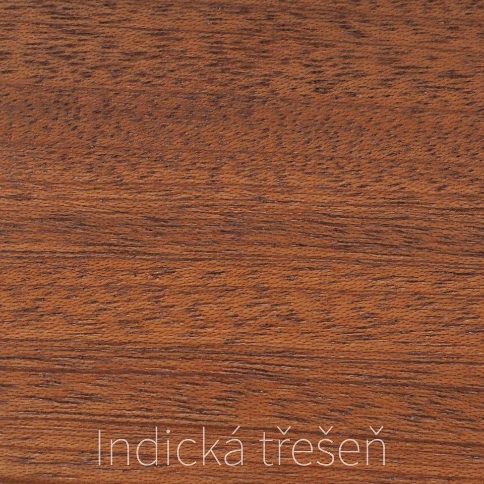 17 Indická třešeň